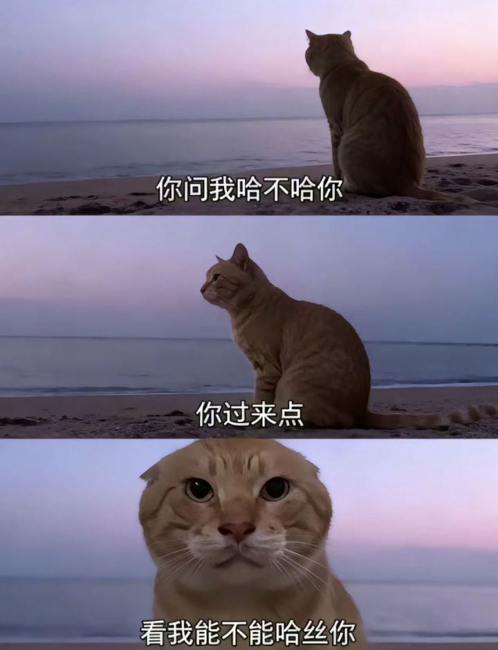 再过20赛季,还能有多少氏族在?!截图