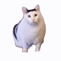 问一下氪金程度截图