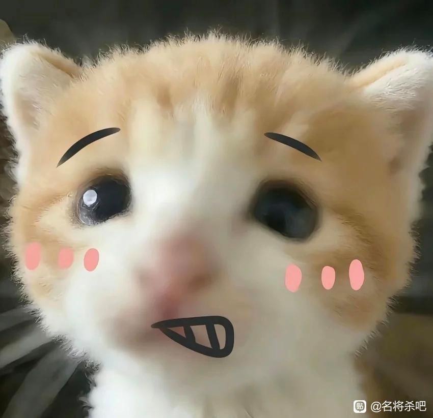 这种时候基本都抽完了,修改概率意义是? 1