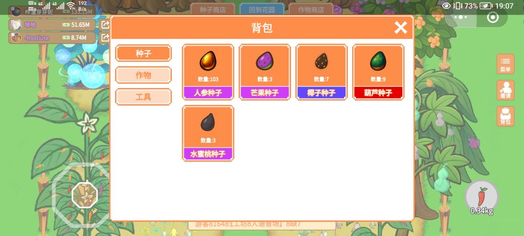 人参果 3