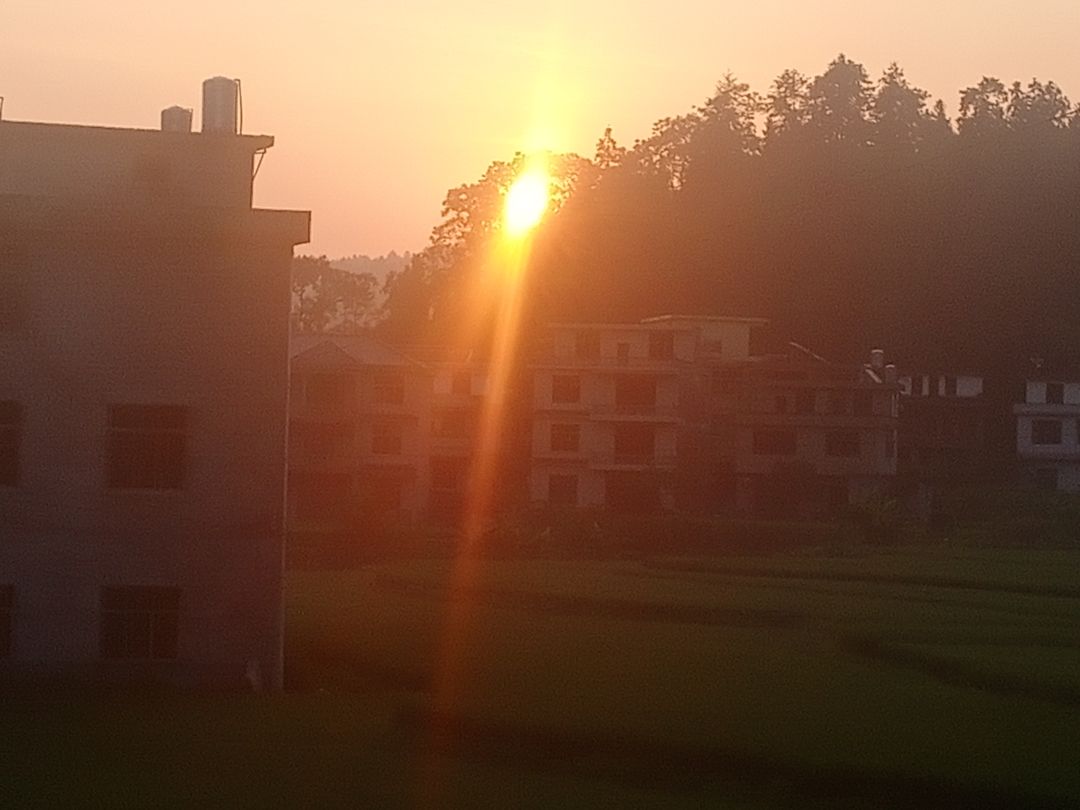 动态图片 4
