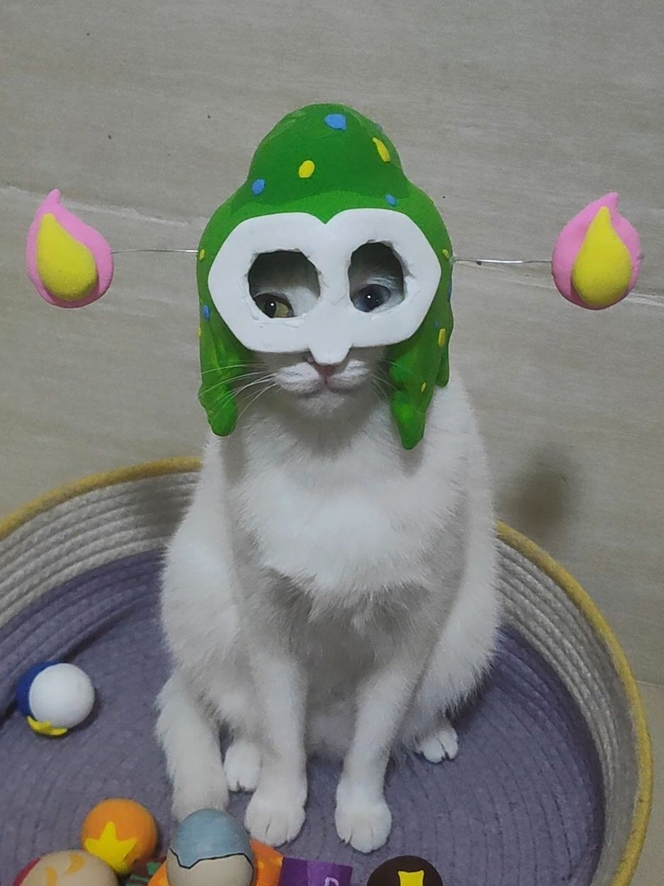 怪猎二期 1