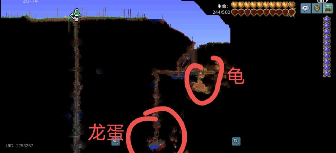 开局龙蛋+碎岩龟+海螺种子 1