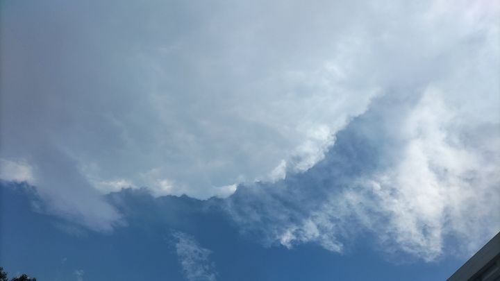打卡截图