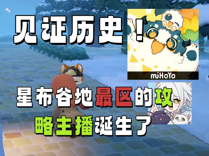 全网最区的攻略主播,没有之一截图