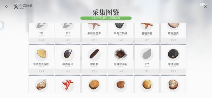 白线海螺截图