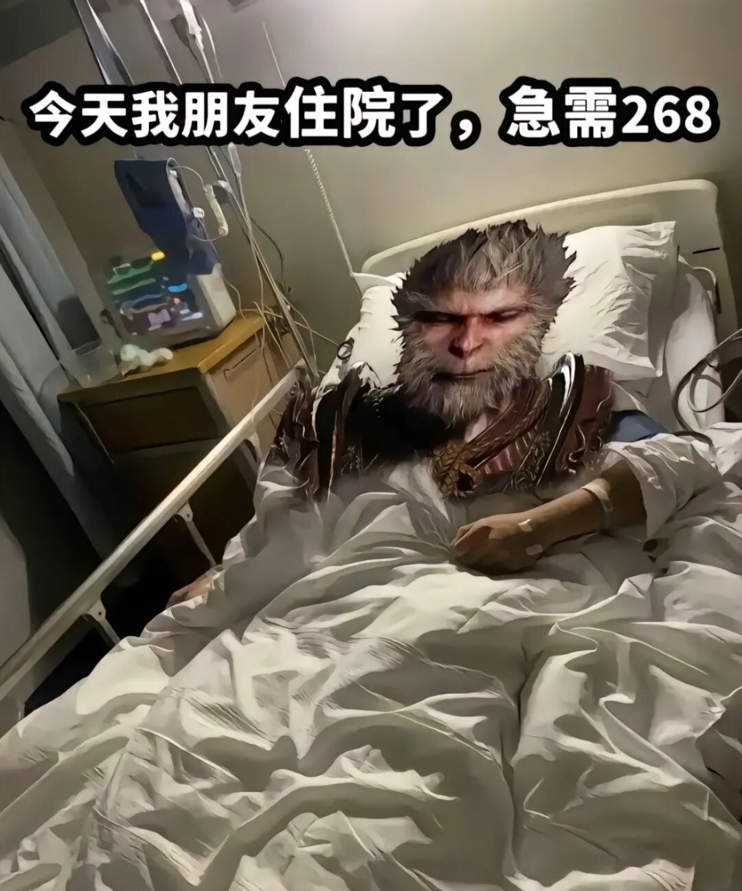 救救我的朋友吧 1