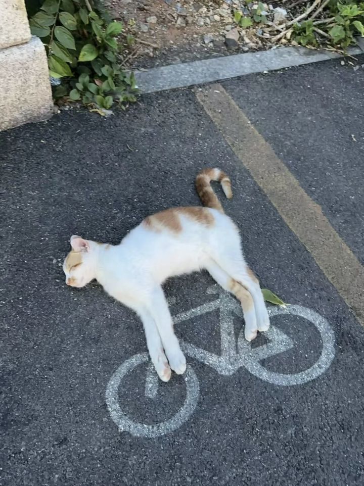 0716截图