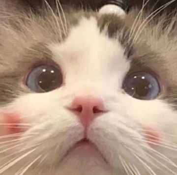 【山海经BD戎姒】世界出装搭配攻略思路