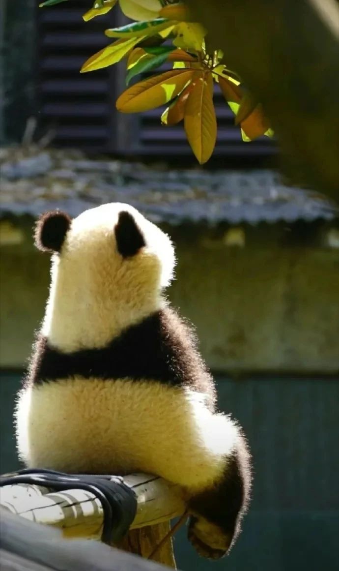 还是不会打火。。截图