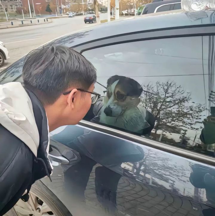 我记得这个游戏出了很久了截图