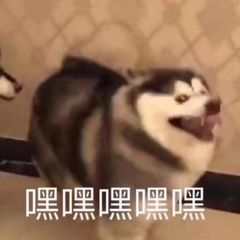 请问附伤吃不吃剑道系加成?截图