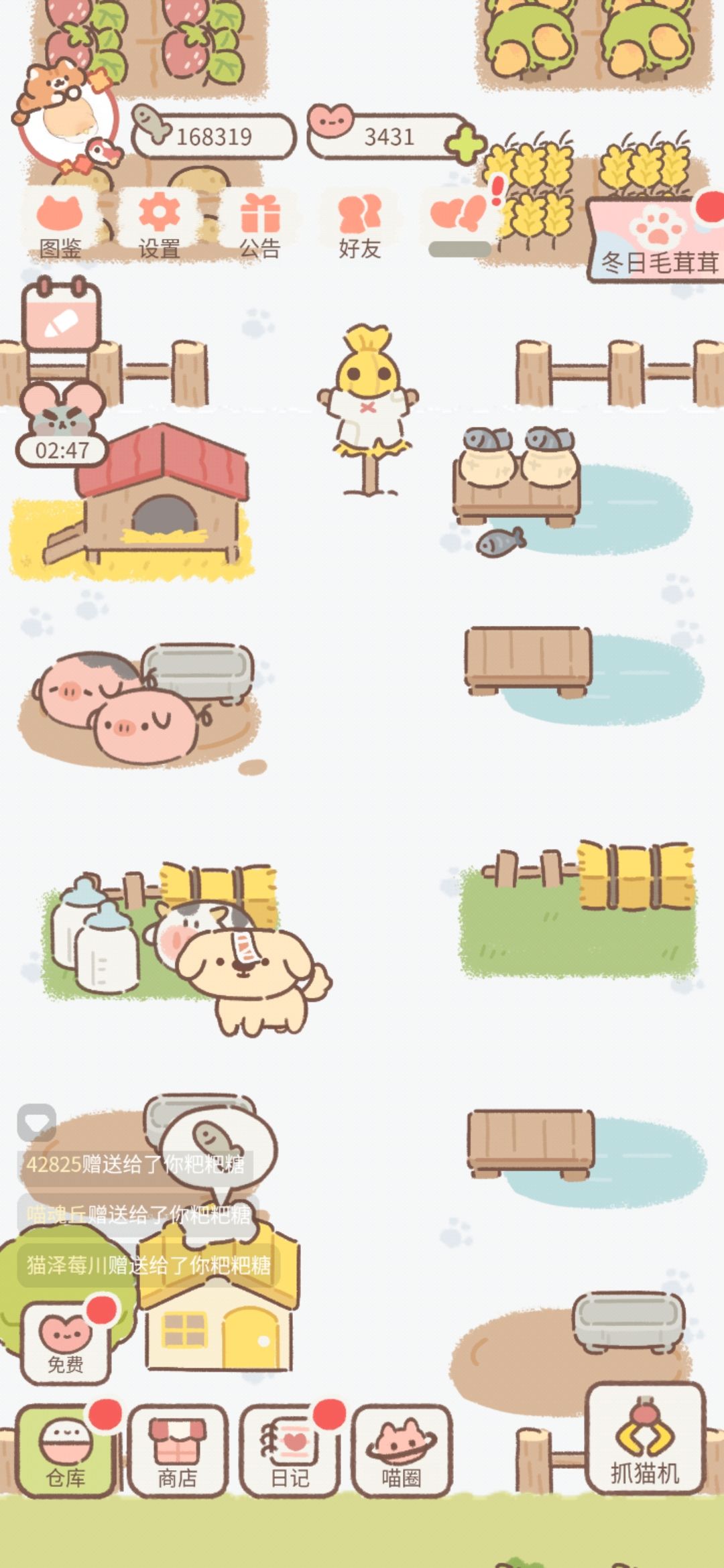 动态图片 3