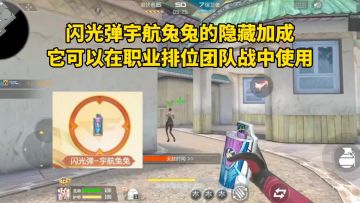 闪光弹宇航兔兔的隐藏加成，可以在职业排位团队战中使用！