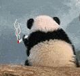 这游戏玩到后期真是一点惊喜没有截图