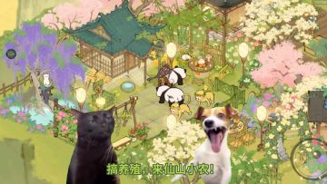 《仙山小农》——养殖篇