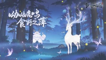 运营者称呼由你选择