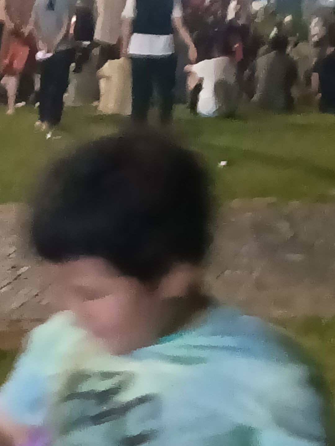 动态图片 6