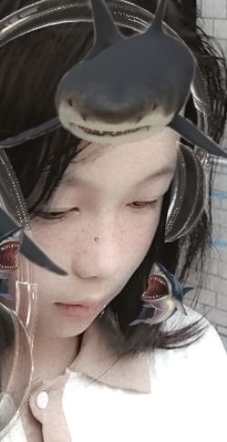 动态图片 9