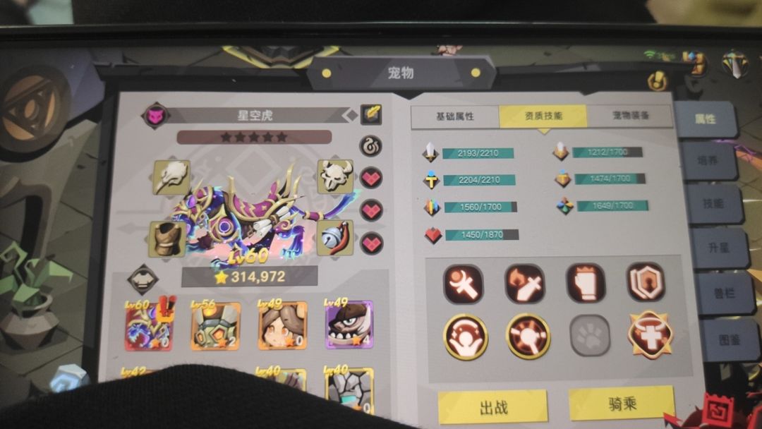 帮我看一下老虎最后一个技能装什么 1