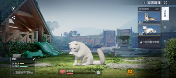 黎明觉醒如何带猫猫出门攻略