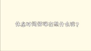 休息时间，猫咪都在想什么
