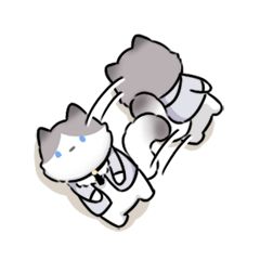 ( '-ωก̀ ) ZZzzzz…