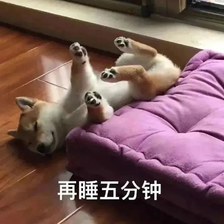 宝藏游戏截图