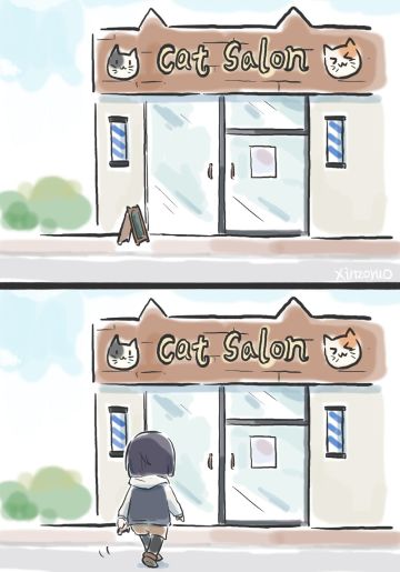 🐱猫猫理发店