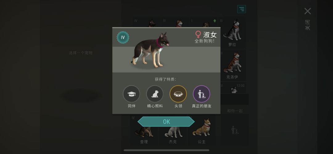 玩几年了第一只朋友狗 1