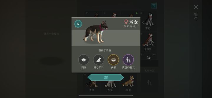 玩几年了第一只朋友狗截图