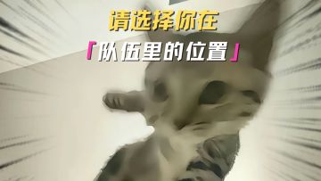 你算哪只小猫咪？