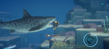 闪电鱼叉冷知识。