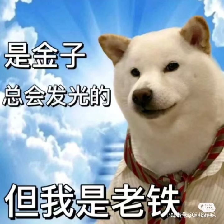 有宝子知道国际服怎么下载吗截图