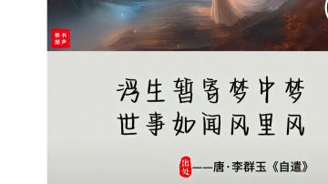关于新增技能格子和逆转主动武学格子建议