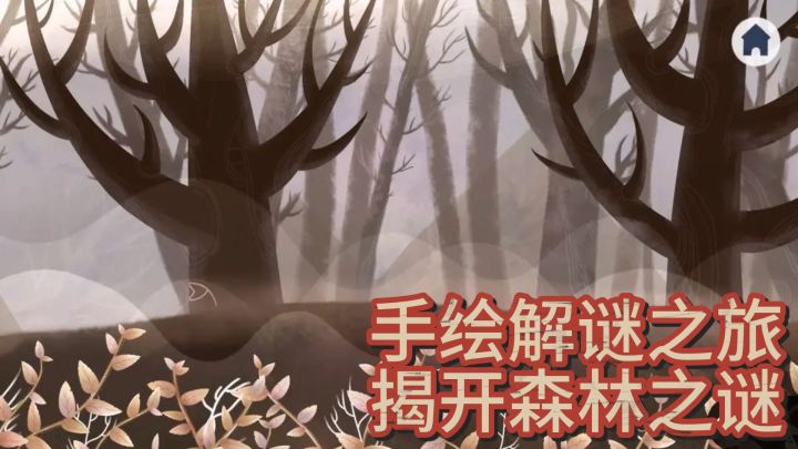 《深林探秘:手绘解谜之旅揭开森林之谜》截图