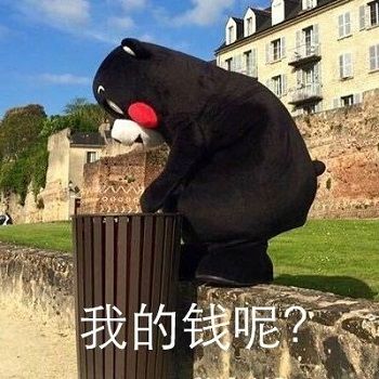 肉肉周报2.0——碎碎念第39期·左转右转，谁拔我花了？