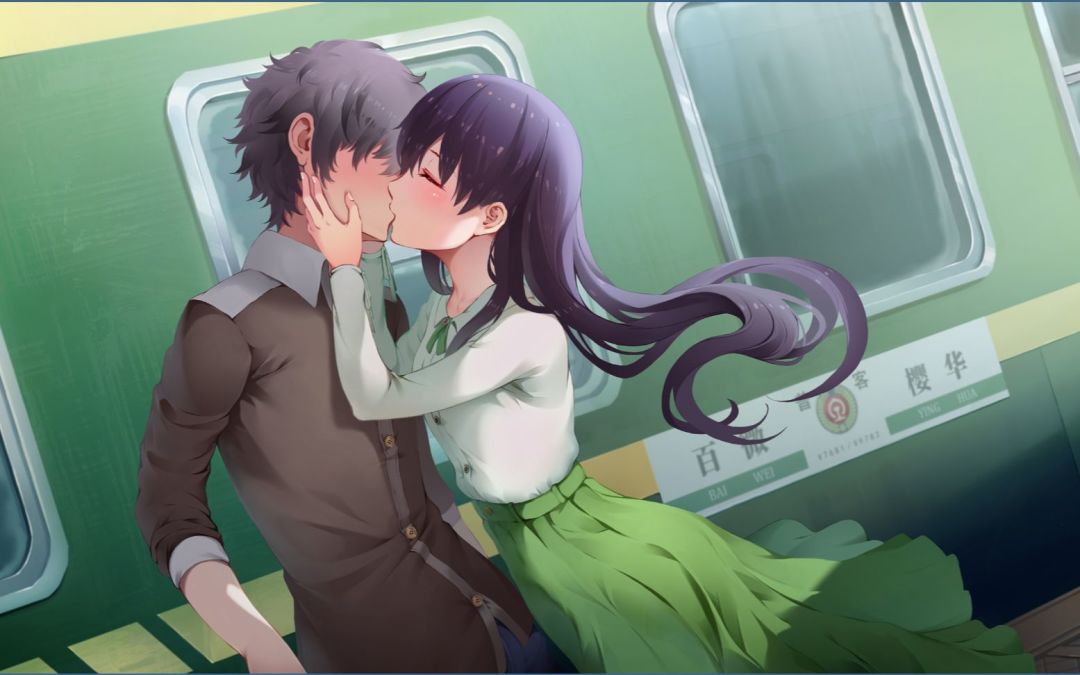 Steam《候鸟》 4