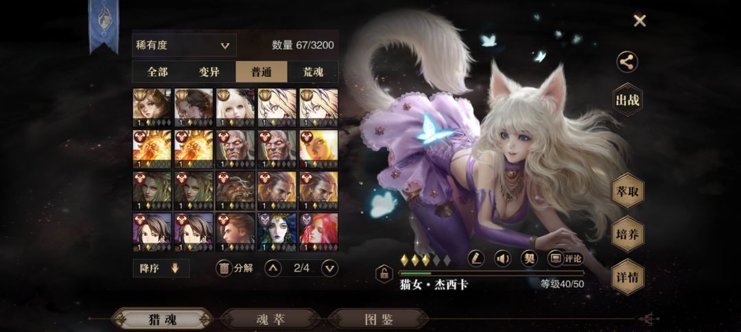 动态图片 4
