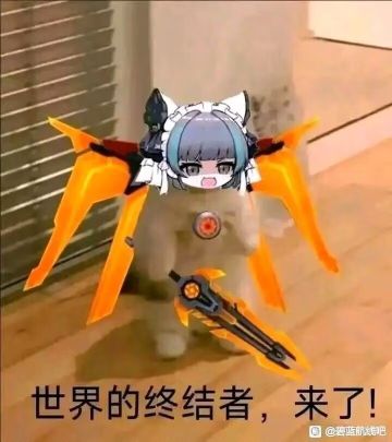 看了看各地的攻略，说点新手感悟