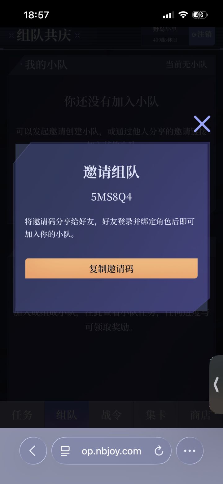 5MS8Q4怀旧服组队截图