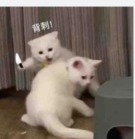 动态图片 8