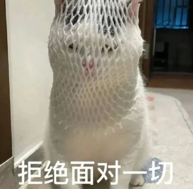 游戏出现bug闪退打不开本地存档保存教学截图