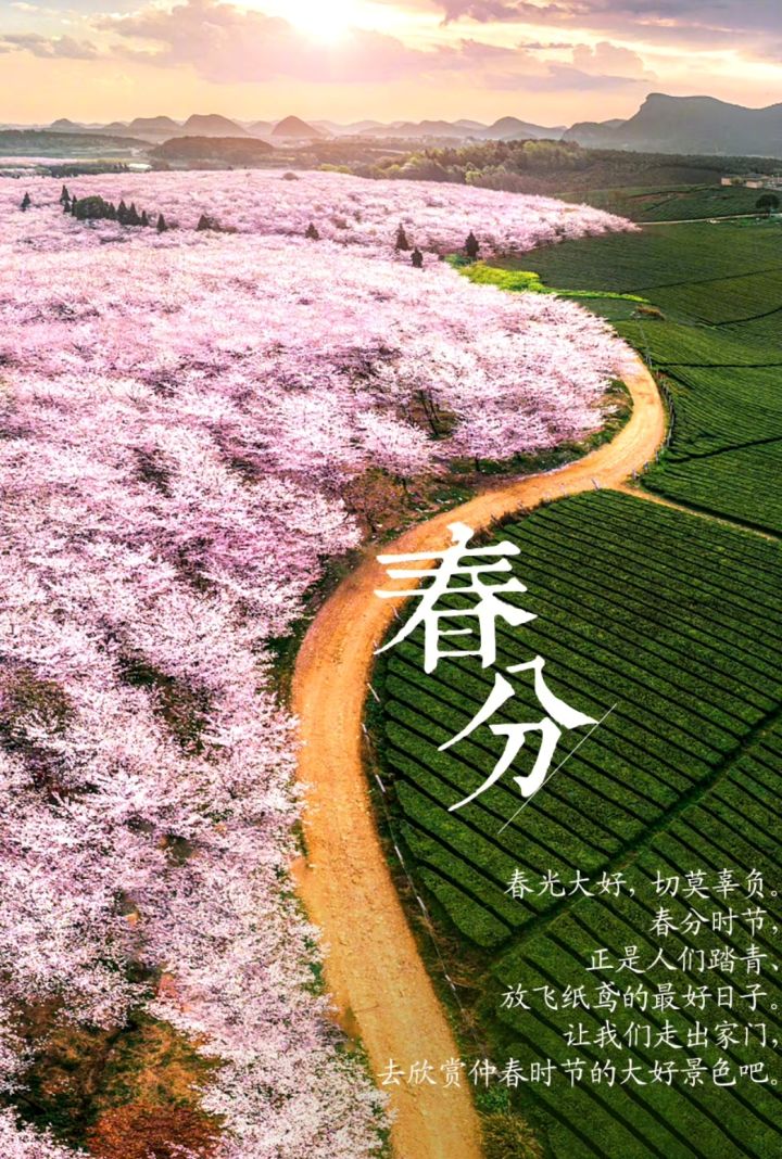 游戏不错截图