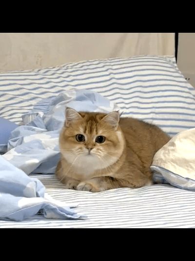 ios端有木有收徒弟哒?截图