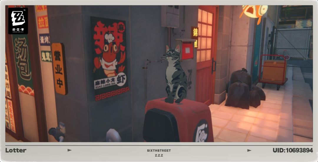 两只猫咪🐈 2