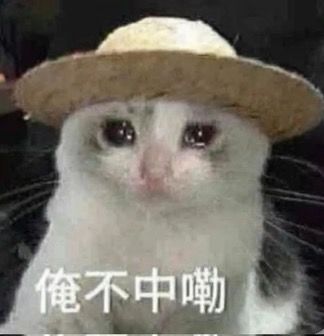 小欧一次 2