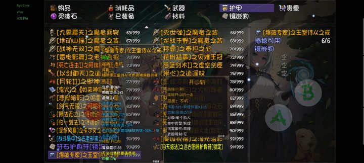 魂塔里的这戒指有bug？截图