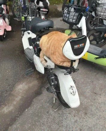 体力应该怎么用?截图