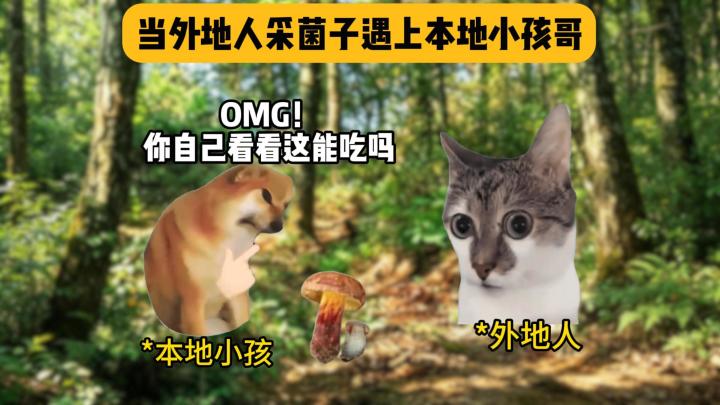 当外地人采菌子遇上本地小孩哥截图